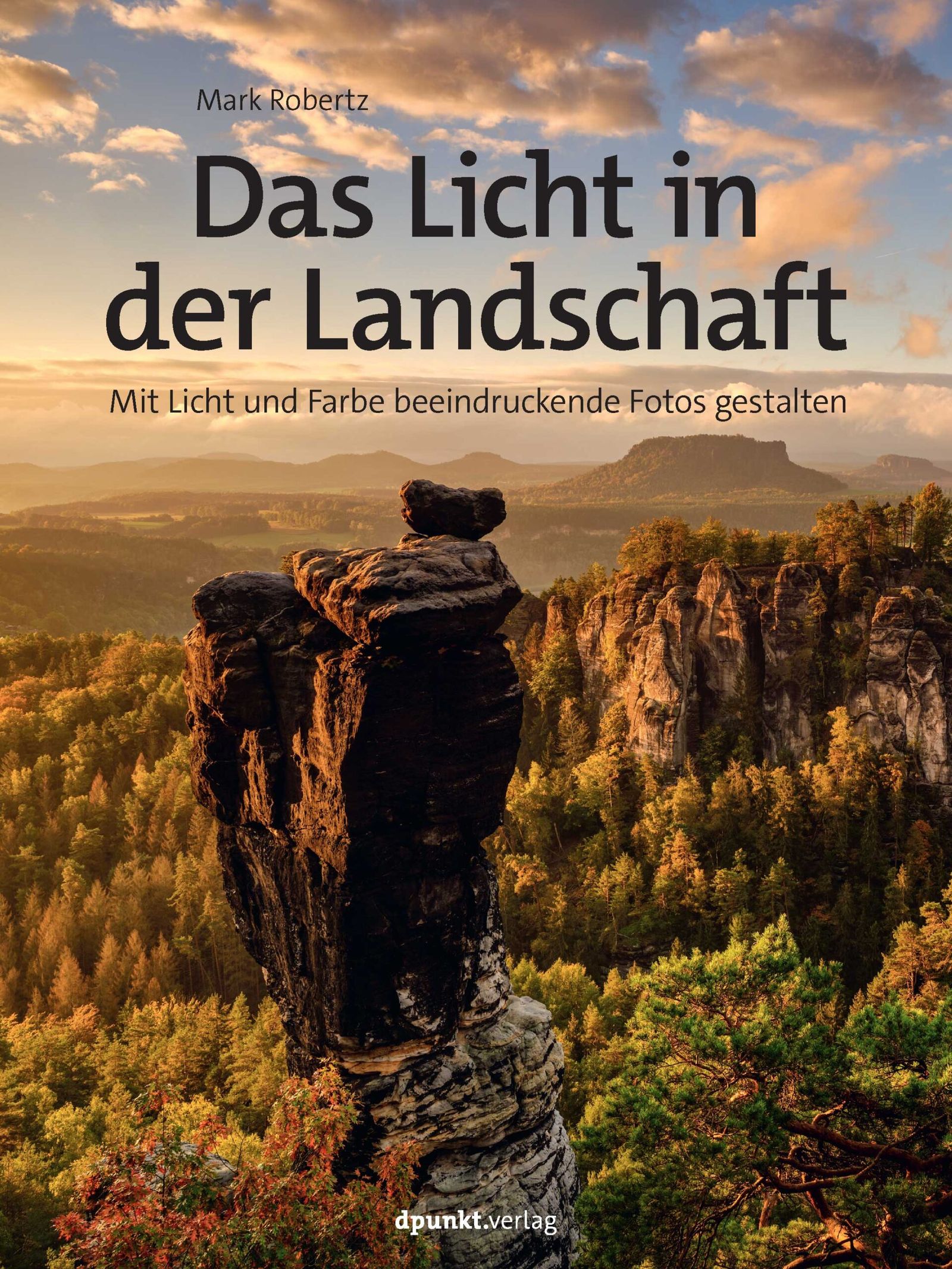 Cover: Das Licht in der Landschaft