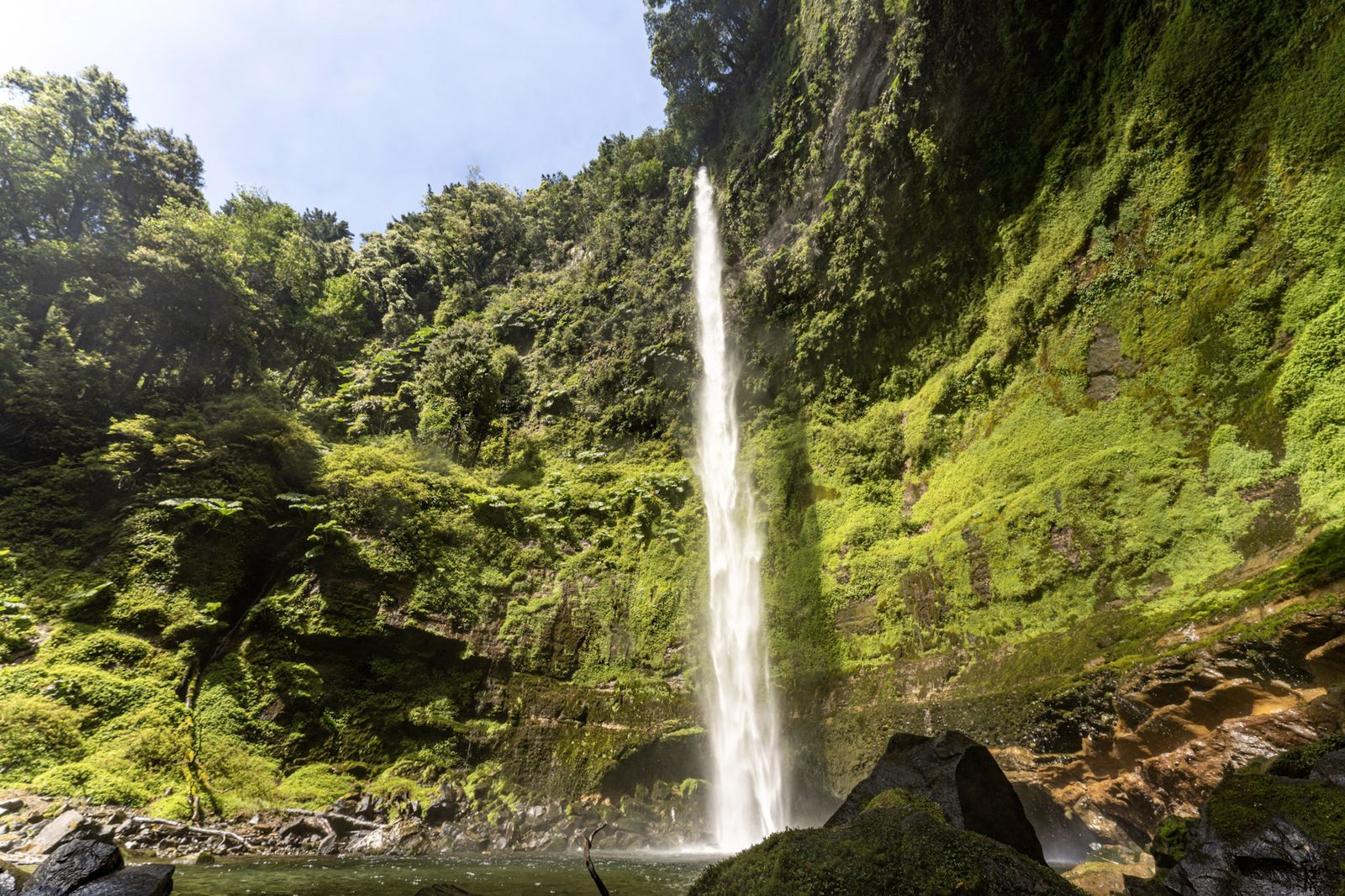 Schmaler Wasserfall an einem dicht bewachsenen Hang