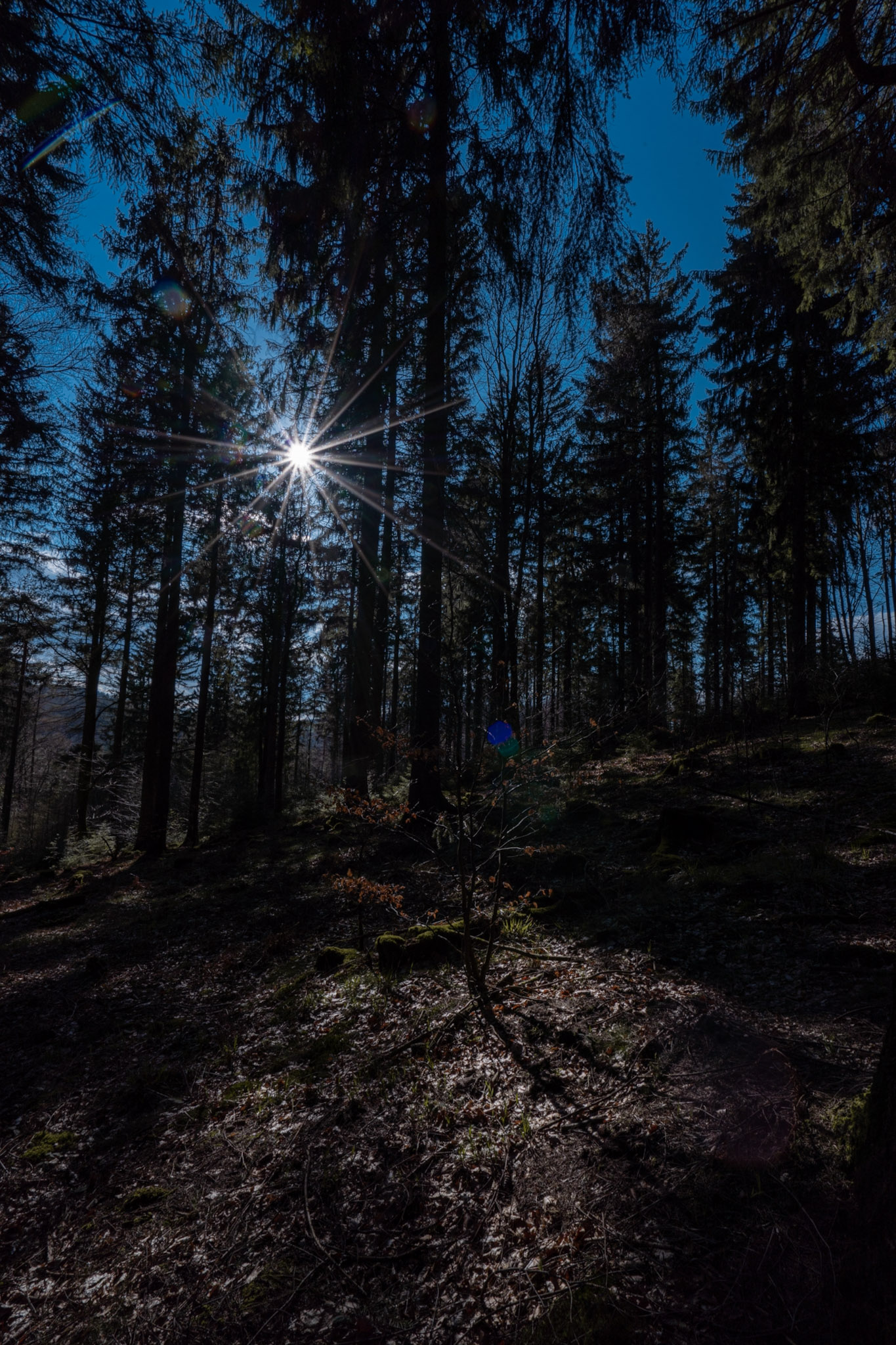 Fotowalk „Licht lesen“
